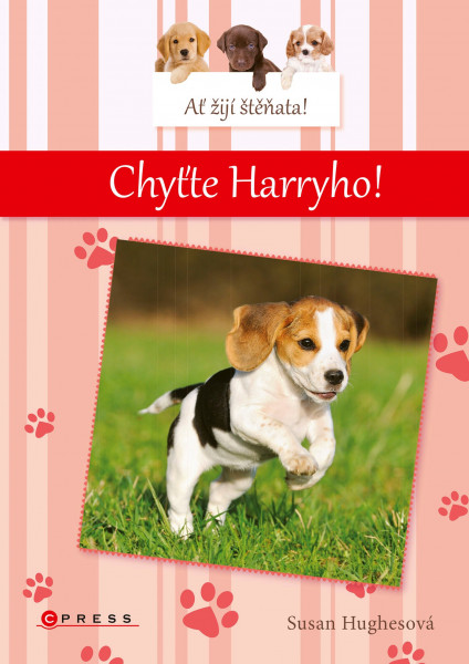 Ať žijí štěňata: Chyťte Harryho! Ať žijí štěňata: Chyťte Harryho!
