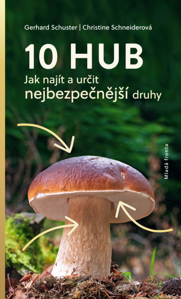 10 hub 10 hub