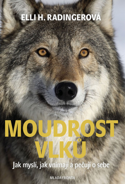 Moudrost vlků Moudrost vlků