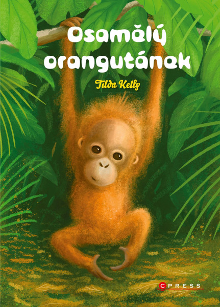 Osamělý orangutánek Osamělý orangutánek