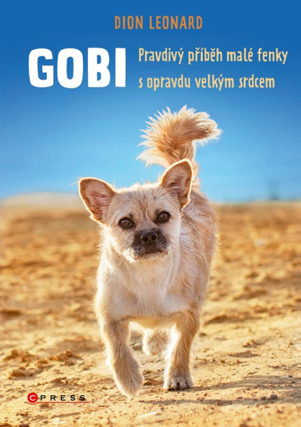 Gobi Gobi
