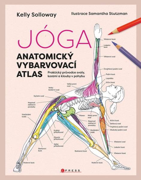Jóga - anatomický vybarvovací atlas Jóga - anatomický vybarvovací atlas