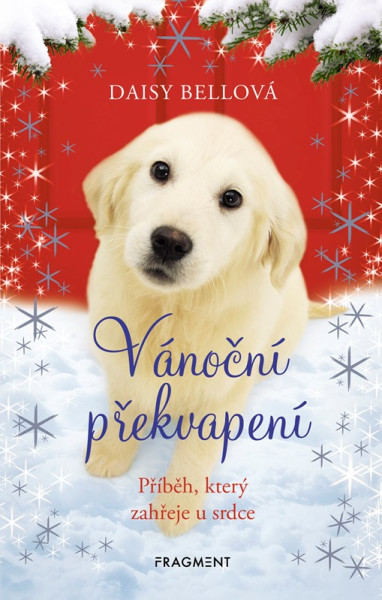 Vánoční překvapení Vánoční překvapení