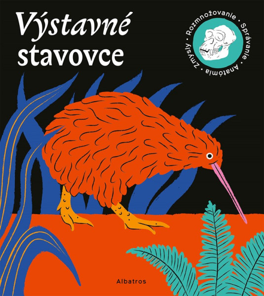 Výstavné stavovce Výstavné stavovce