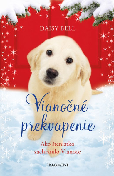 Vianočné prekvapenie Vianočné prekvapenie