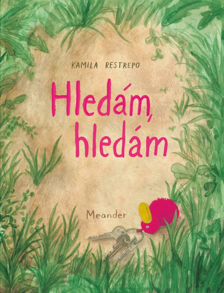 Hledám, hledám