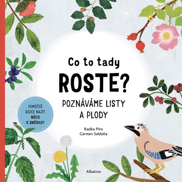 Co to tady roste? Co to tady roste?