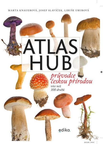 Atlas hub Atlas hub