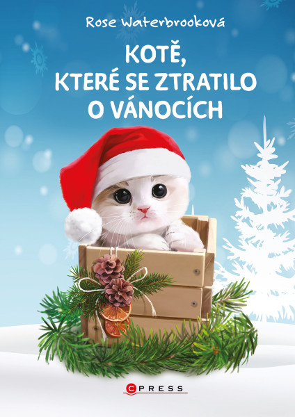 Kotě, které se ztratilo o Vánocích