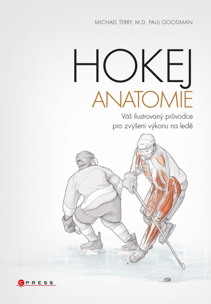 Hokej - anatomie