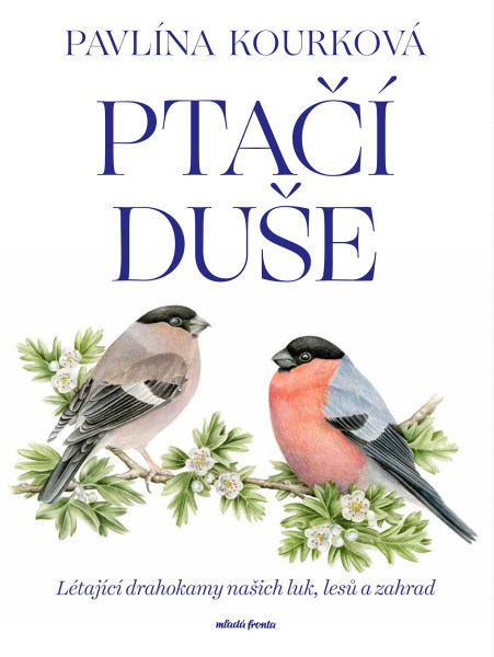 Ptačí duše Ptačí duše