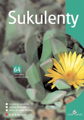 Sukulenty