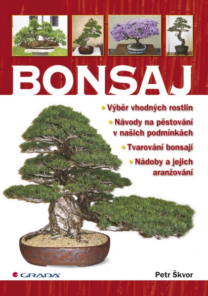 Bonsaj