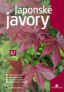 Japonské javory Japonské javory