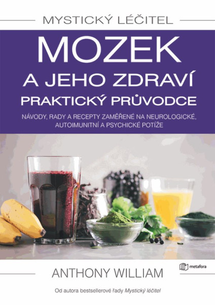 Mystický léčitel: Mozek a jeho zdraví praktický průvodce Mystický léčitel: Mozek a jeho zdraví praktický průvodce