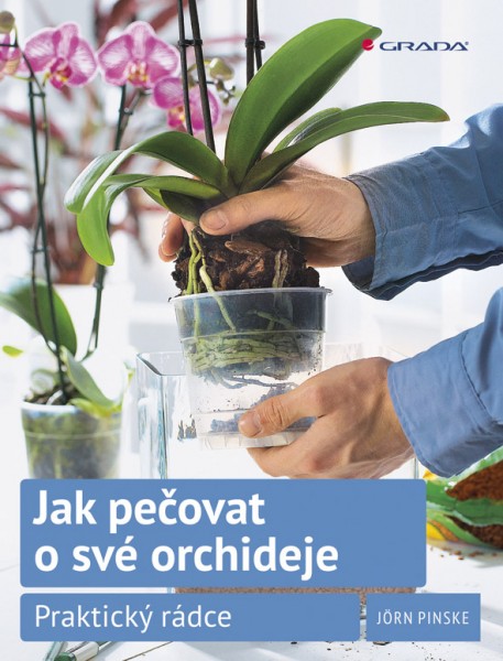 Jak pečovat o své orchideje Jak pečovat o své orchideje