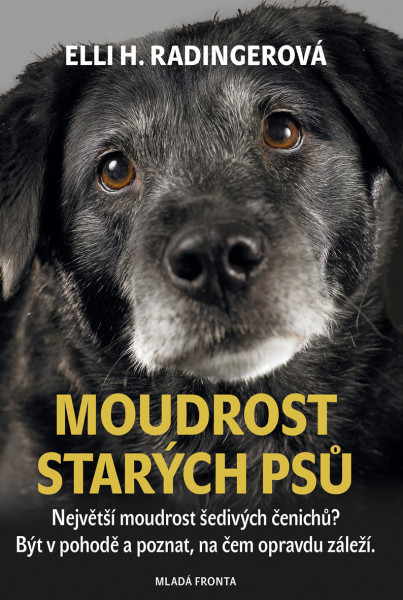 Moudrost starých psů Moudrost starých psů