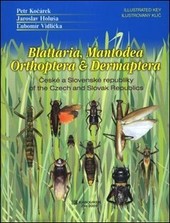 Blattaria, Mantodea, Orthoptera & Dermaptera of the Czech and Slovak Republics Blattaria, Mantodea, Orthoptera & Dermaptera of the Czech and Slovak Republics
