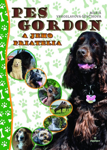 Pes Gordon a jeho priatelia Pes Gordon a jeho priatelia