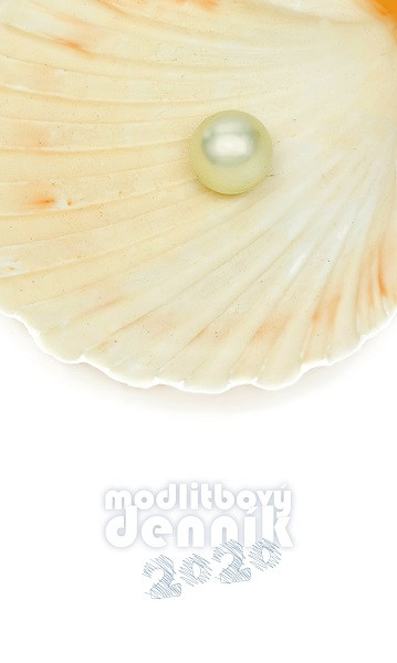 Modlitbový denník 2020 Modlitbový denník 2020