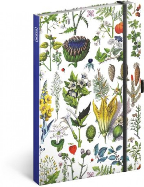 Notes Bylinky Kateřiny Winterové, bodkovaný, 13 × 21 cm Notes Bylinky Kateřiny Winterové, bodkovaný, 13 × 21 cm