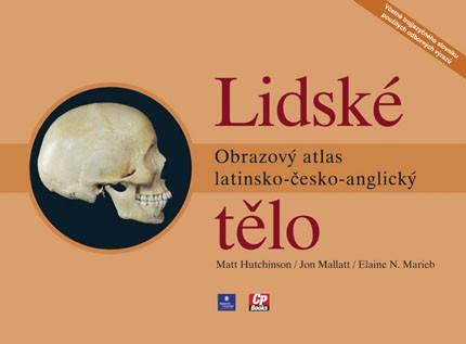 Lidské tělo Lidské tělo