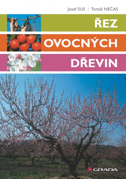 Řez ovocných dřevin Řez ovocných dřevin