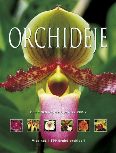 Orchideje Orchideje