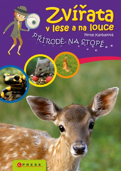 Zvířata v lese a na louce Zvířata v lese a na louce