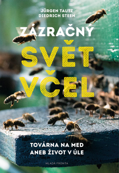 Zázračný svět včel