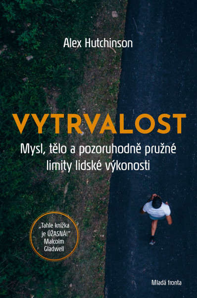 Vytrvalost Vytrvalost