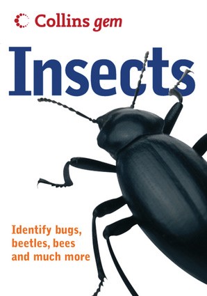 Insects Insects