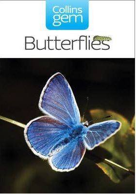 Butterflies Butterflies