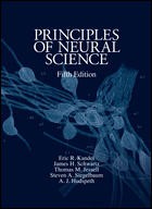 Principles Of Neural Science