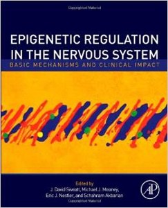 Epigenetic Regulation in the Nervous System
