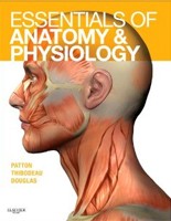 Essentials of Anatomy and Physiology Essentials of Anatomy and Physiology