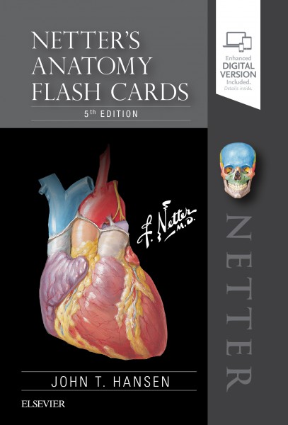 Netters Anatomy Flash Cards Netters Anatomy Flash Cards