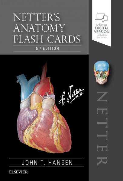 Netters Anatomy Flash Cards