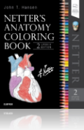 Netter`s Anatomy Coloring Book Updated Edition