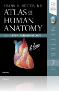 Atlas of Human Anatomy: Latin Terminology