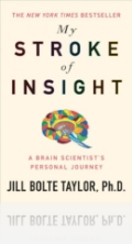 My Stroke of Insight My Stroke of Insight