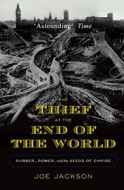 Thief at the End of the World