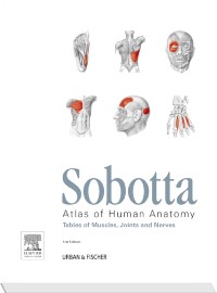 Sobotta Tables of Muscles, Joints and Nerves to 15th ed. of the Sobotta Atlas
