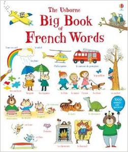 Big Book of French Words (Board Book)