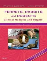 Ferrets, Rabbits & Rodents Ferrets, Rabbits & Rodents