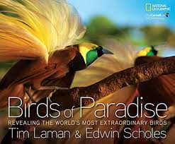 Birds of Paradise Birds of Paradise