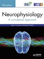 Neurophysiology