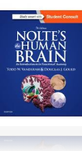 Nolte`s The Human Brain, 7th Edition
