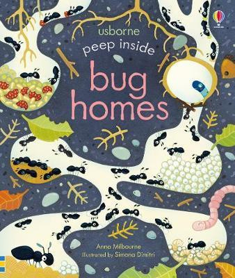 Peep Inside Bug Homes Peep Inside Bug Homes