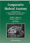 Comparative Skeletal Anatomy